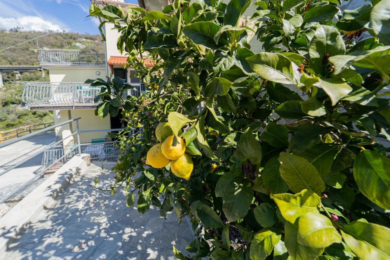 Casa Vacanza Il Portico 莫内利亚 外观 照片
